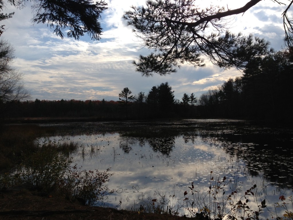 Ella's Trails | Wallis Pond – Douglas, MA | Hiking, Biking, Walking ...